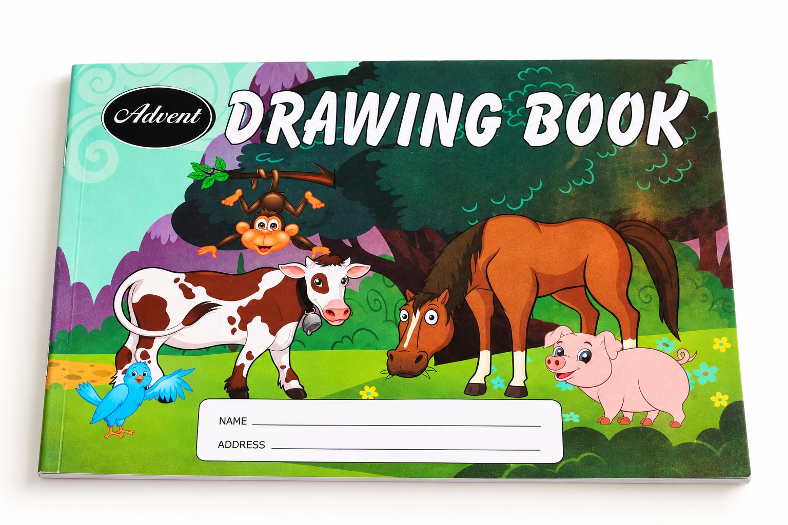 Advent Drawing Book